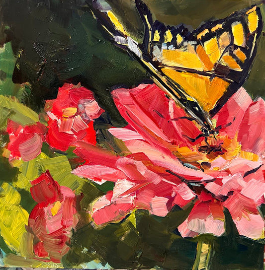 Zinnia